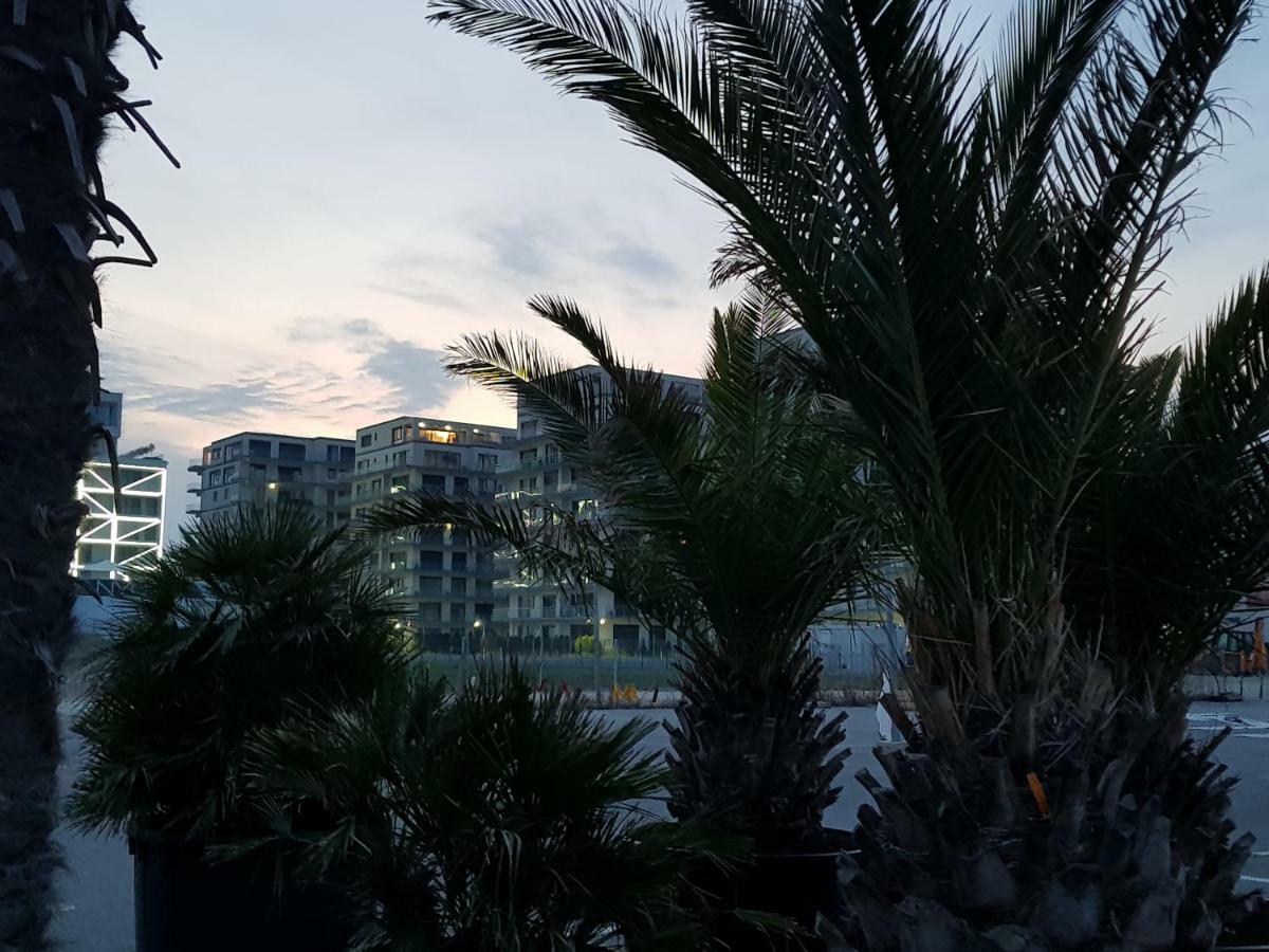 The Horse - De Silva Residence Mamaia Kültér fotó